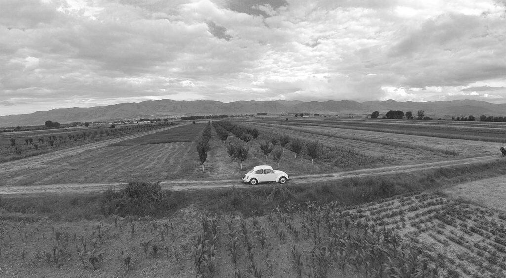 Vintage white car on rustic country road surrounded by vineyards, scenic mountain backdrop.