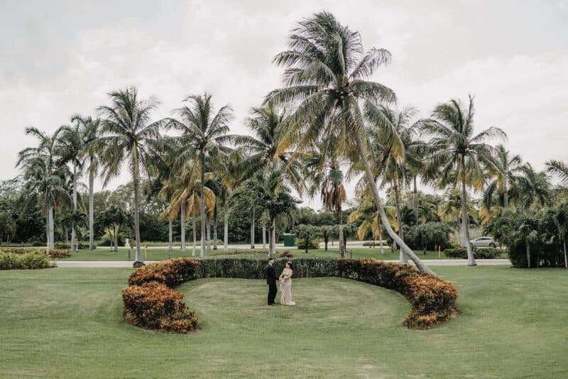 Lush tropical garden with tall palm trees, perfect for a luxurious wedding ceremony or photo shoot.