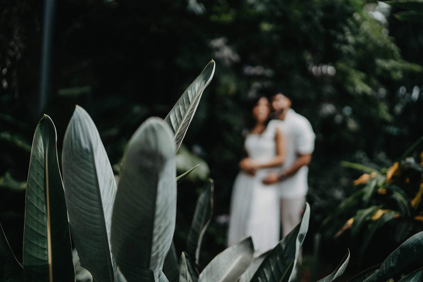 Elegant couple in white wedding attire sharing a moment outdoors surrounded by lush tropical greenery, captured in a soft-focus romantic style.